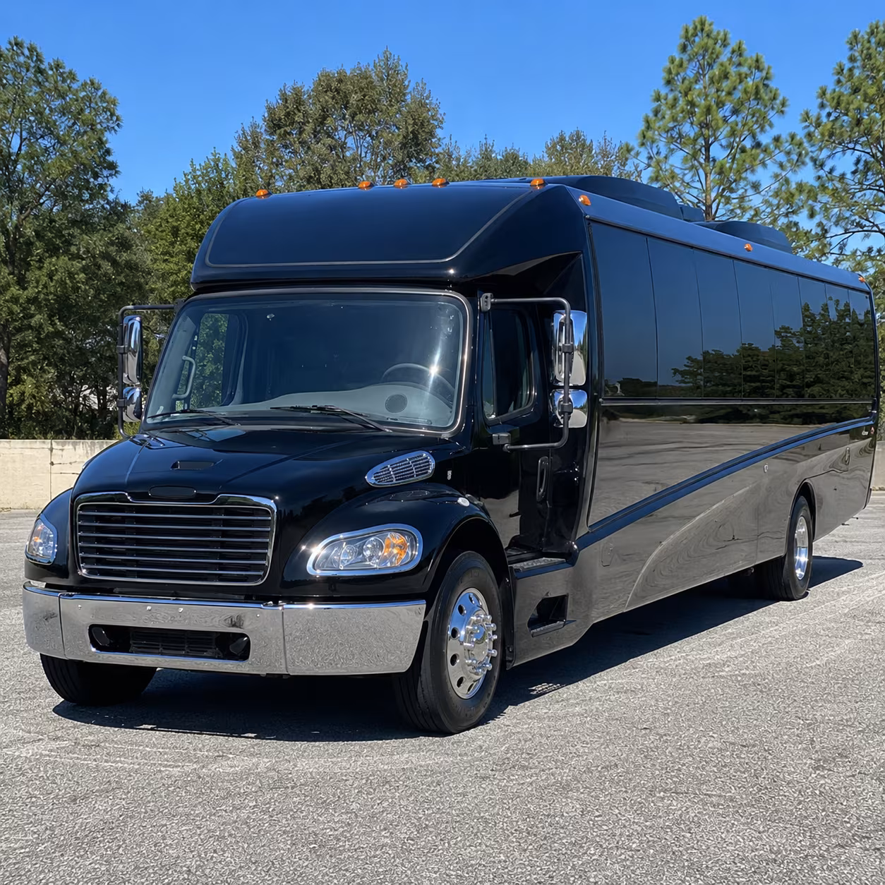 anaheim 18 passenger minibus